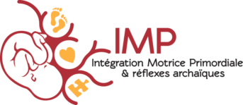 L'IMP : AU-DELÀ DES RÉFLEXES !